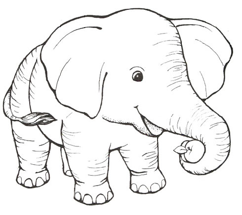 Литературный зоопарк